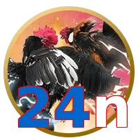 24n